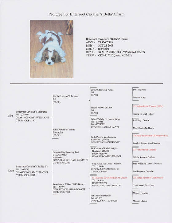 Bella.pedigree.jpg